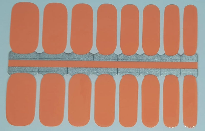 Salmon Mini
