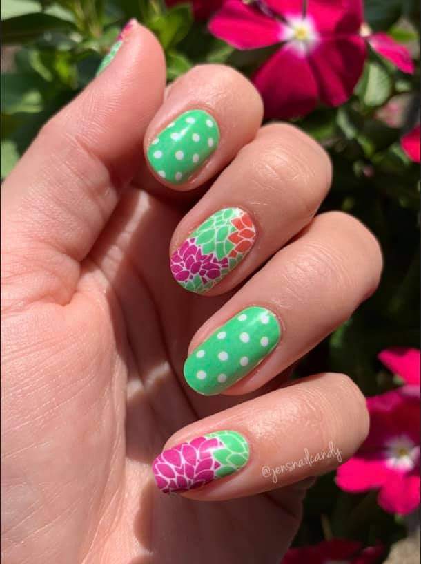 Cotton Flowers