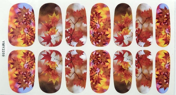 Fall memories - Fall Design