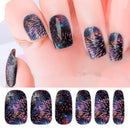 Firework Party- Christmas Design