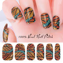 Sunset Wings- Butterfly Design