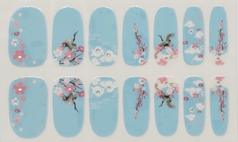 Sakura Sky- Animal theme Design