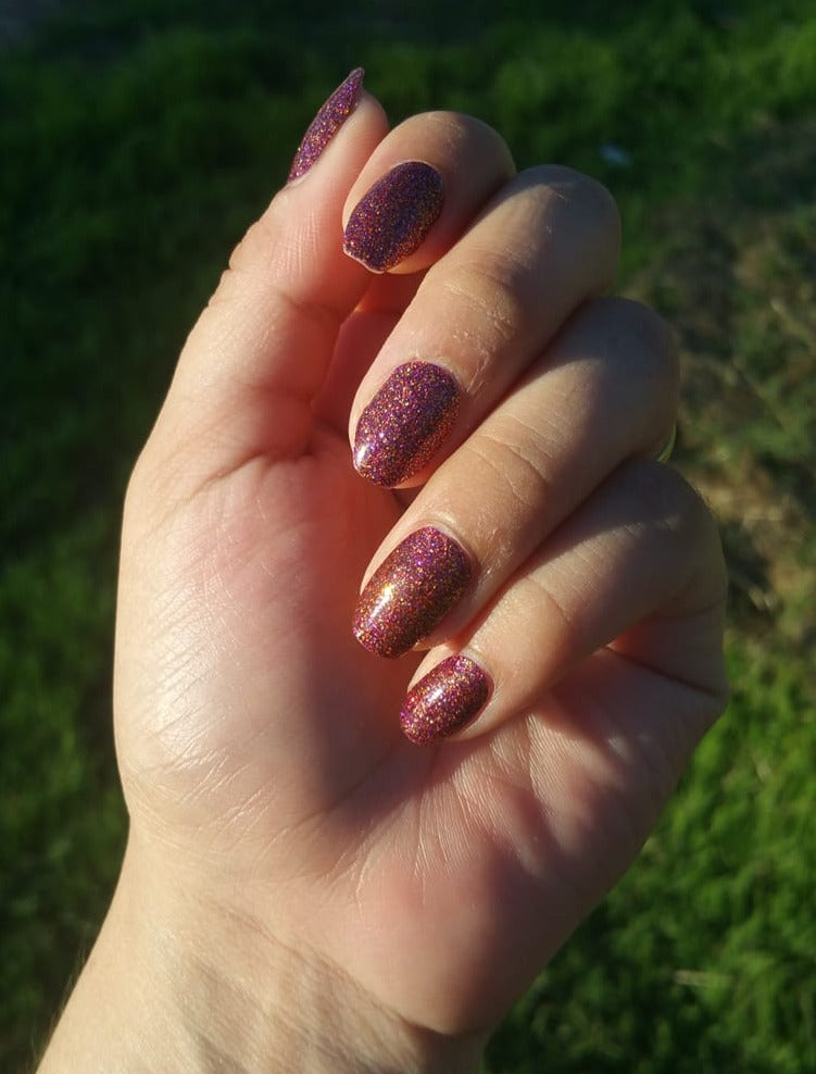 Holo world