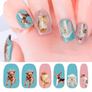 Doggies- Animal theme Design