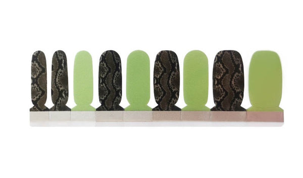 Modern Snake - Animal Print Design