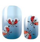 Ladybugs on blue- Animal Theme Design